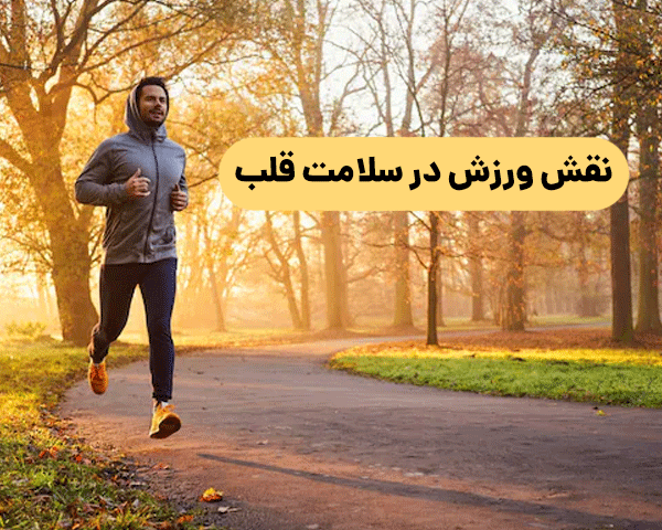 نقش ورزش در سلامت قلب