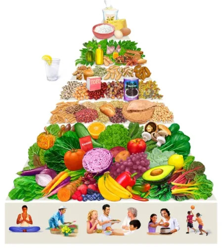 رژیم وجترین