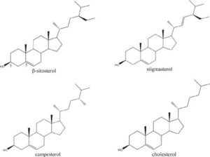 فیتواسترول برای کلسترول